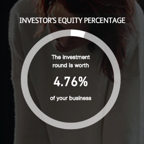 Equity and Investment Calculator